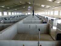 Nave de Cebadero. Ingeniería Ganadera