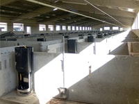 Nave de Cebadero. Ingeniería Ganadera