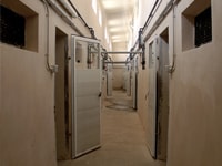 Nave de maternidad