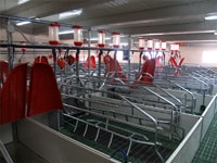 Nave de maternidad