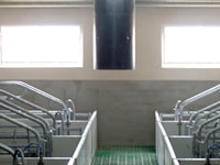 Nave de maternidad