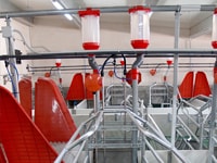 Nave de maternidad