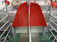 Nave de maternidad