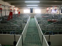 Nave de maternidad